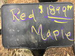 Red Maple